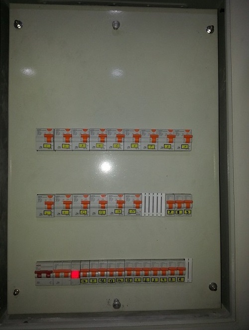 polla rele1