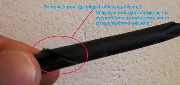 vlavi