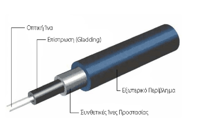 optikiina4