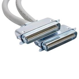 RJ21male