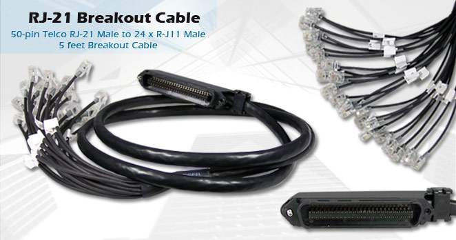 rj 21 breakout cable