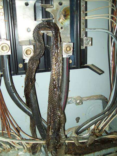 panel